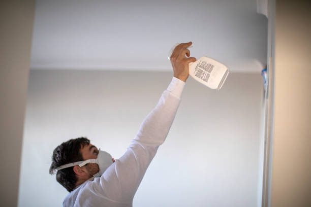Certified Mold Removal in Racine, WI