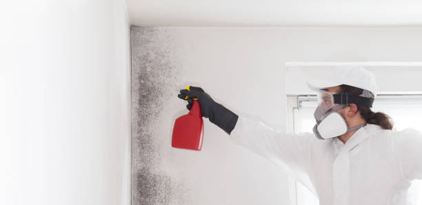 Best Mold Testing  in Racine, WI